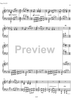 Essays on the forgotten Rhythms Op.28