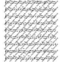 The Irish Flute Book