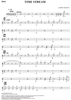 Time Stream - Drum