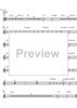 Samba D - C Instrument