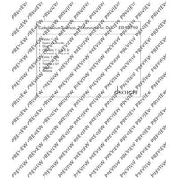 2. Concerto in C - Set of Parts