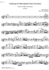 Cadenza Concerto E Major  1st and  2nd movement - Flute