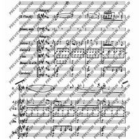 Concerto E Major - Score