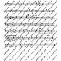 2. Concerto in C - Double Bass