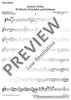 Concert D major - Set of Parts