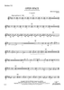 Open Space - Baritone Horn TC