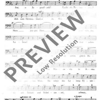 Rosen aus dem Süden - Bass I