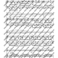 Complete Flute Works