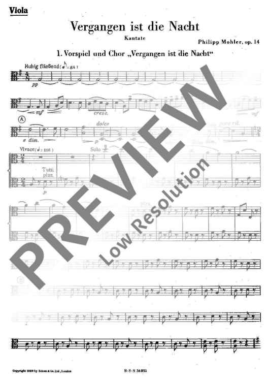 Vergangen ist die Nacht - Viola
