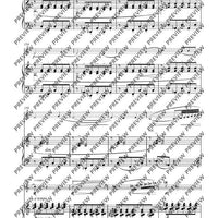 Complete Flute Works