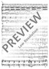 Concerto E Minor - Score