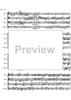Allegro from a minor concerto - Score