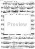 Preliminary studies to 'The Accomplished Clarinettist' Vol. 3 - Clarinet