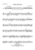 Echoes of the Cape - Bb Trumpet 1