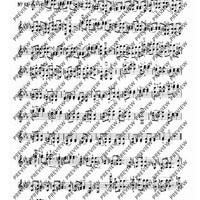 100 Technical Paraphrases on Kreutzer-Etudes