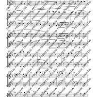 Duo D major - Performing Score