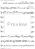 String Bass Concerto - Bass