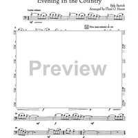 Evening in the Country