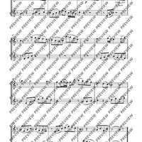 Duo concertant C major - Performing Score