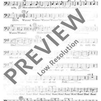 Lob des Rheins - Bass Ii