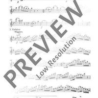 Introduction, Theme and Variations