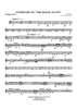 Overture to "The Magic Flute" - Bb Trumpet 2