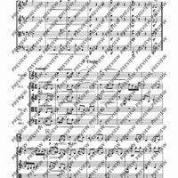 Concertino classico D major - Score