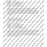 25 Romantische Etüden