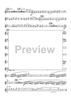 The Yellow Rose of Texas Variations - Solo Trumpet
