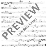 VI. Concert in G minor - Viola