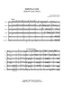 Espana Cani (Spanish Gypsy Dance) - Score