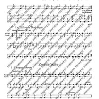 Tambourin - Set of Parts