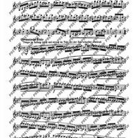 Progress in Clarinet Playing