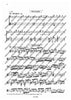 Orchestra Studies