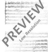 Divertimento giocoso - Score