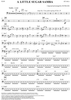 A Little Sugar Samba - Bass