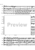 Allegro from a minor concerto - Score