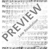 Geschichten aus dem Wiener Wald - Bass Ii