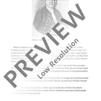 Die verschwundenen Noten oder „Aufregung vor den Ferien“ - Performing Score