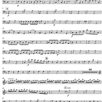 Concerto for Mandolin and Orchestra in F major - Cello