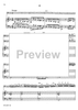 Concerto in G Minor for Basoon, Strings and Cembalo - Piano Accompaniment