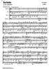 Burleska - Score