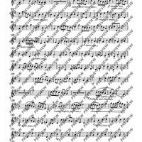 Mock Morris - Tenor Recorder