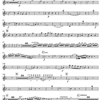 Concerto for Mandolin and Orchestra in F major - Oboe 2