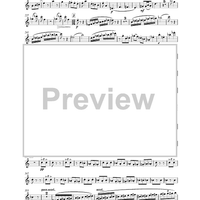 Allegro vivace -  from concerto N°3 for piano - Alto Sax 1