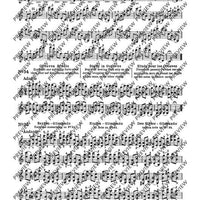 100 Short Technical Paraphrases on Kayser's Etudes