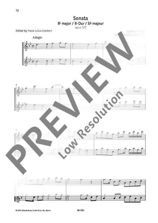 Sonata in B flat minor