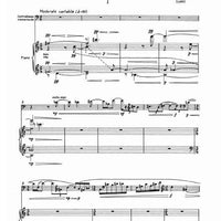 Concerto per contrabbasso ed orchestra - Piano Score and Solo Part
