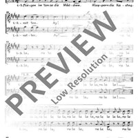 Spanisches Liederspiel - Tenor / Bass