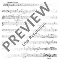 Organ Concerto No. 1 G Minor - Bassi/bassoon